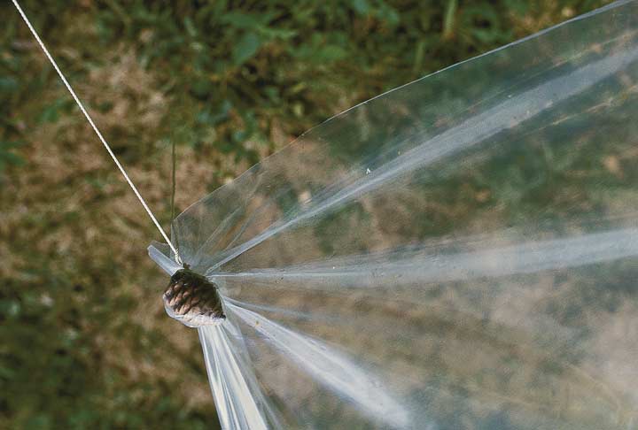 Tying a line  to a plastic or canvas tarp wrapped aound a small ball (or pinecone)
