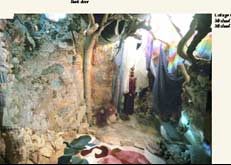 Collage wall by Michael Kahn and Michael Glastonbury