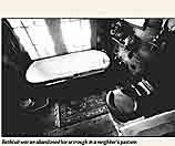 Bathtub was an abandoned horse trough in a neighbor's pasture.