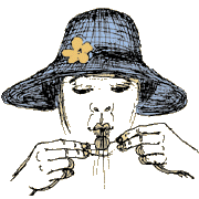 illustration for the Spinning Quarter trick