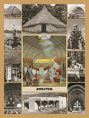 Book Jacket of Shelter