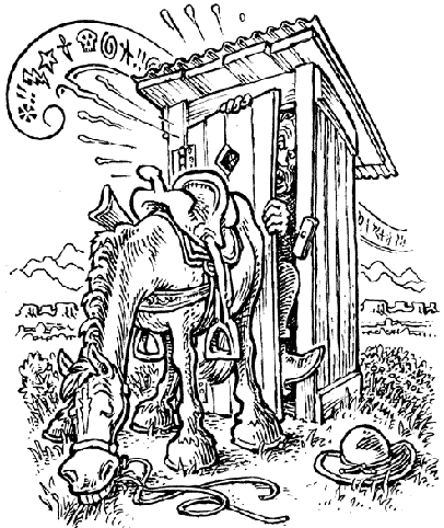 outhouse, © 2000 Shelter Publications, Inc.
