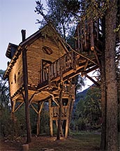 &copy;2011 Shelter Publications, Inc.