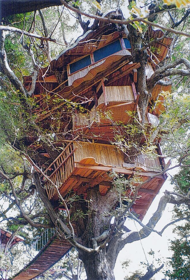 Big Treehouse in the Sky » The Shelter Blog